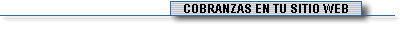 Soluciones de cobranzas por sitio web