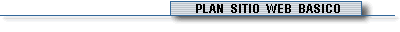 Plan Sitio Web B�sico